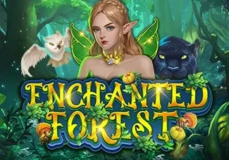 Enchanted Forest game thumbnail